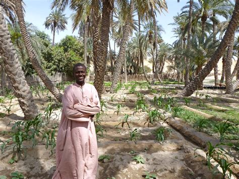 African Farming Methods 的图像结果