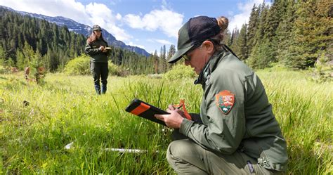 Conservation Ecologist | Conservation Careers