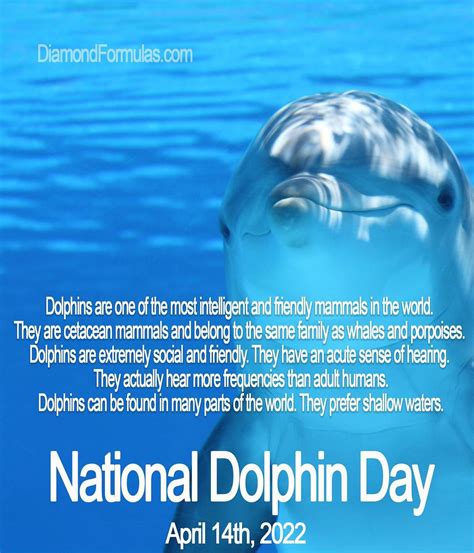 Happy National Dolphin Day! - Diamond Formulas