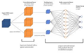 Image result for Neural Network Classification