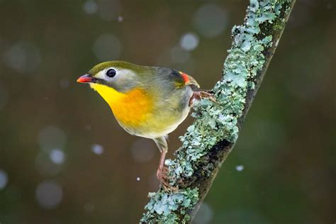 The 10 Best Family-Friendly Activities in McAllen, Texas