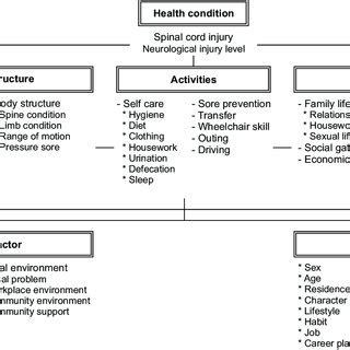 Image result for International Classification of Functioning Ans Disability Model