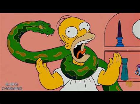 Image result for Simpons Teating the Dogs