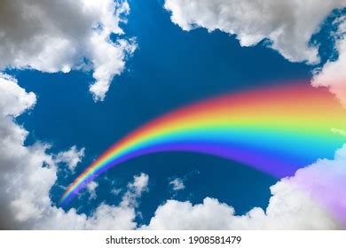 Image result for Rainbow Spring Sticker
