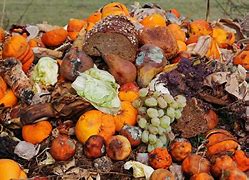 Image result for food waste