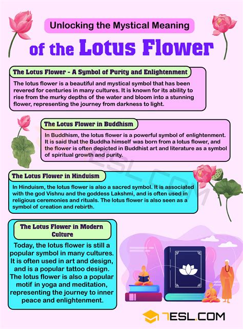 Lotus Flower Meaning at Alice Hager blog