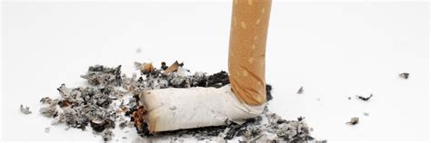 Brains Of Smokers Who Successfully Quit May Be Wired For Success ...
