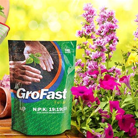 Raj AGRITECH Gro Fast 100% Water Soluble Fertilizer For Plants & Farm ...