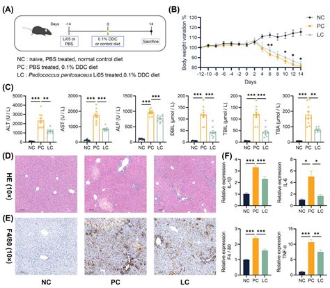 Probiotic Pediococcus pentosaceus Li05 Improves Cholestasis through the ...