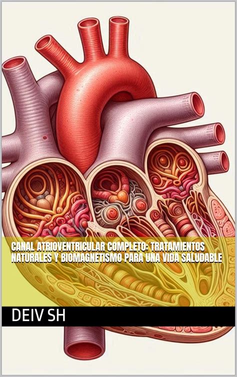 Canal Atrioventricular Completo: Tratamientos Naturales y Biomagnetismo ...