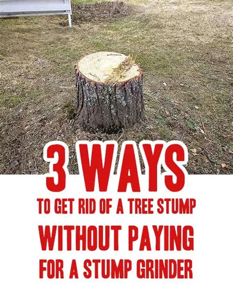 Tree Stump Removal Tricks 的图像结果