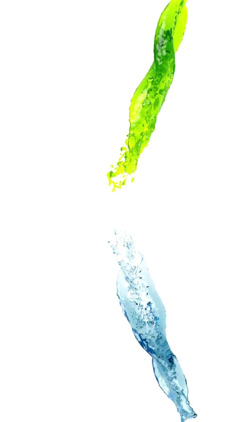 Slowmotion Shot Of Color Powder Exploision 的图像结果