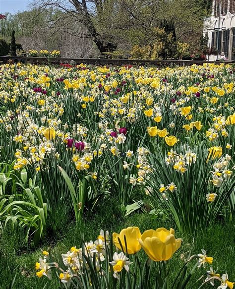 CHANTICLEER, A PLEASURE GARDEN - All You Need to Know BEFORE You Go ...