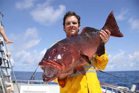 Northern Blue Fishing Charters (Thursday Island) - 2022 What to Know ...
