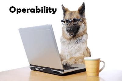 Operability – QATestLab
