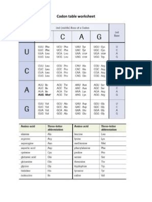 Image result for Codon Chart Practice