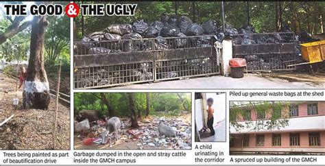 Sports Nutrition: Gmch Revamp Striking But Poor Hygiene, Waste Piles A ...