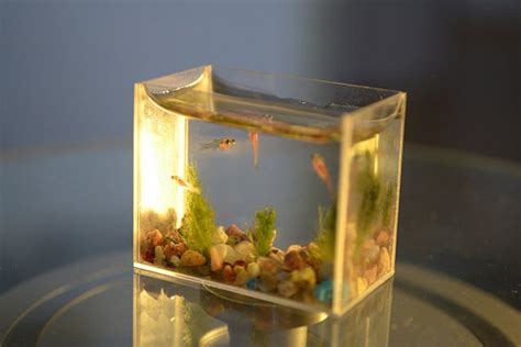 美翻了！！创意个性的家居鱼缸制作设计图解