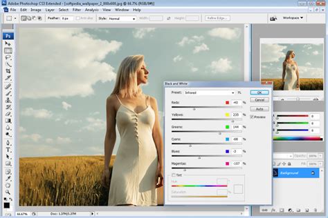 Photoshop Basic Editing CS3 的图像结果