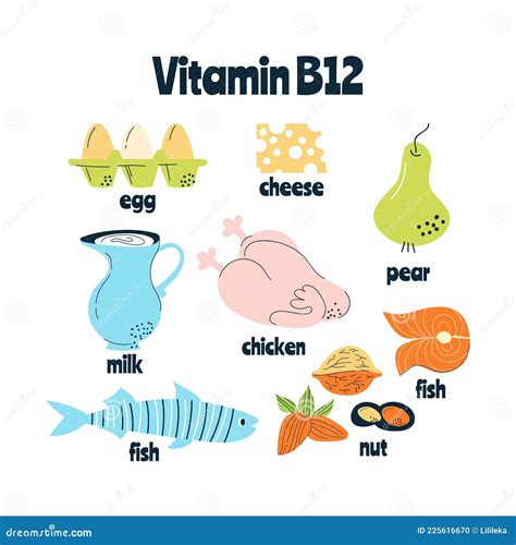 What Are The Food Sources Of Vitamin B at Georgia Foy blog