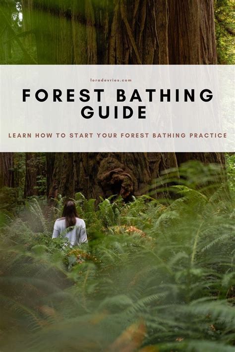 a woman sitting in the middle of a forest with text overlay that reads ...
