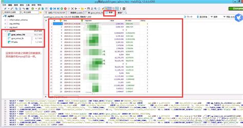 HeidiSQL MySQL 的图像结果