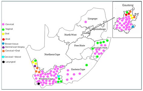 Mapping the HPV Landscape in South African Women: A Systematic Review ...