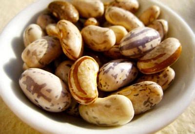 Image result for Shell Beans