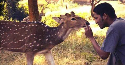 This Music Composer Bought An Entire Hill And Turned It Into A Wildlife ...