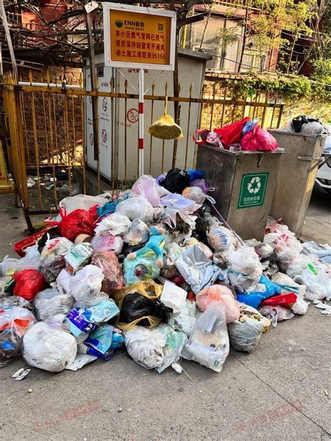 小区成了垃圾场 宝安两小区被责令整改 - 监管信息公开 - 深圳市城市管理和综合执法局网站