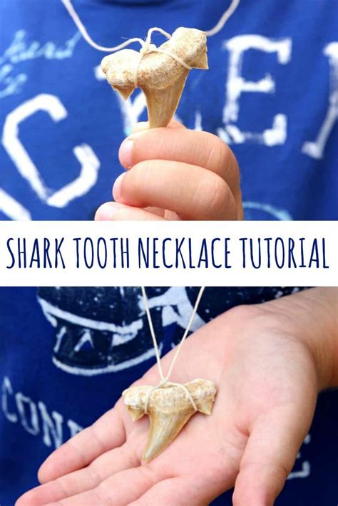 Shark Tooth Necklace Tutorial | Shark teeth crafts, Shark teeth, Shark ...