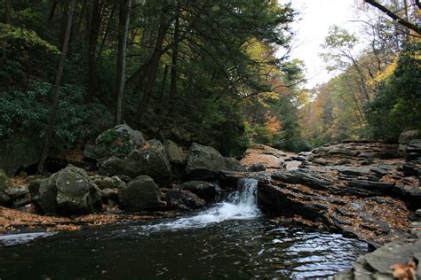 Kentuck Campground — Ohiopyle State Park | Dunbar, PA