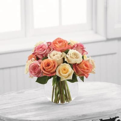 Sundance: Order Flowers Online | Interflora India | ID1347886