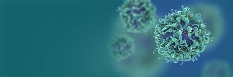 Oncology