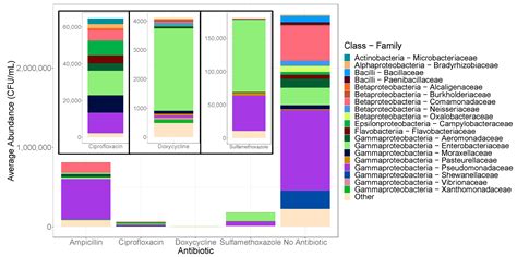 Characterization of Environmental and Cultivable Antibiotic-Resistant ...