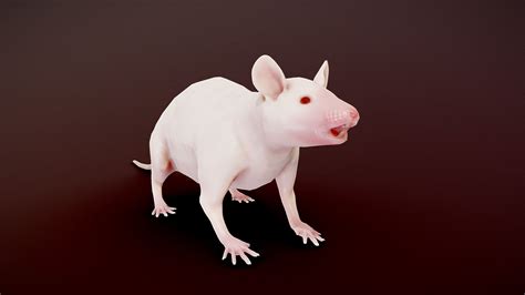 Mouse Model in Lab 的图像结果