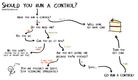 Example Controls 的图像结果