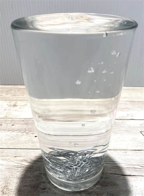 Image result for Paper Clip Experiment