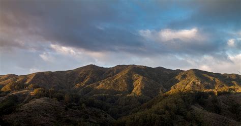 Montara Mountain Trail | Friends of San Pedro Valley Park