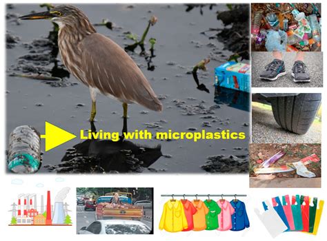 Mass Spectrometry as an Analytical Tool for Detection of Microplastics ...