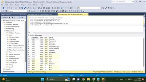 Image result for SQL Server Express Mash Homadani