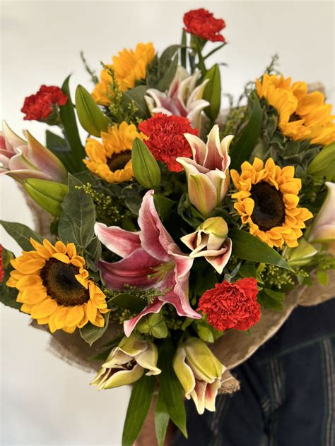 Macaw – farmerr.in