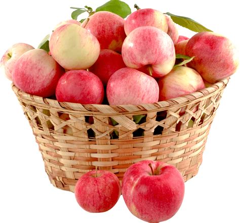 Image result for Apple Computer Monitoring Software