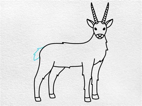 How To Draw A Gazelle