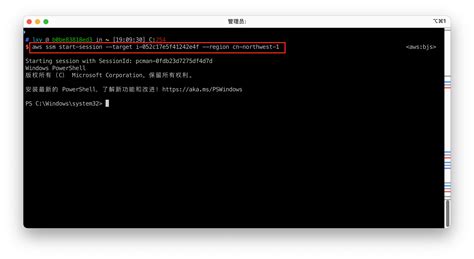 RDP Manager Tutorial 的图像结果