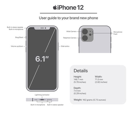 Affinity Guides 的图像结果