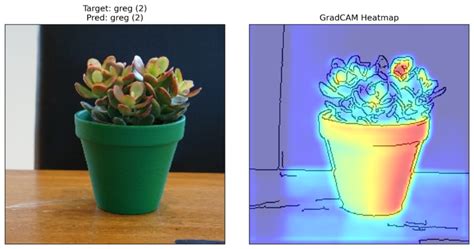 Image result for Grad Cam Example