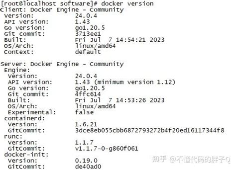 Linux 19C Docker Image 的图像结果