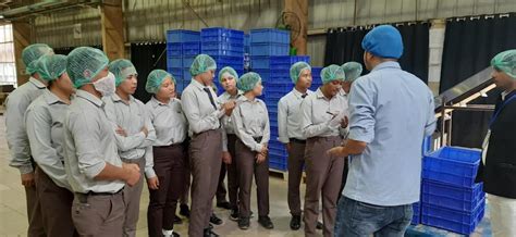 Don Bosco Society, Azara | Non-profit organisation