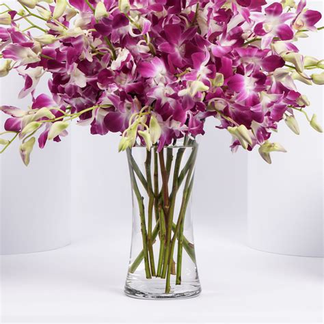 Order Pink Orchid Flower Arrangement Online | Same-Day Delivery UAE ...